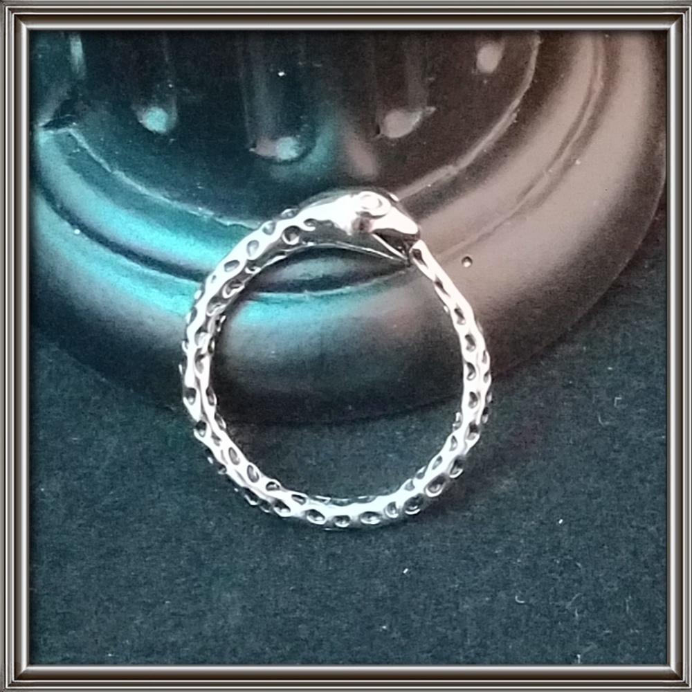 Ouroboros Snake ring, .925 sterling silver